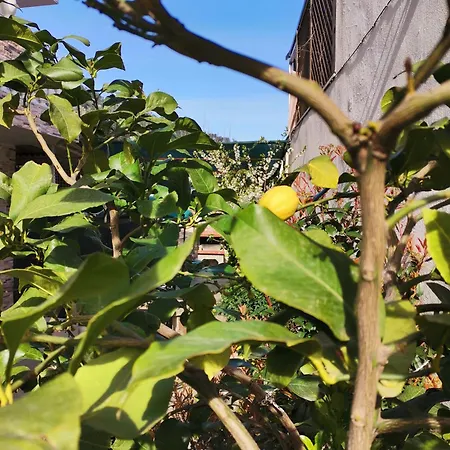 Lia Adults Only -fully Renovated Apartman *