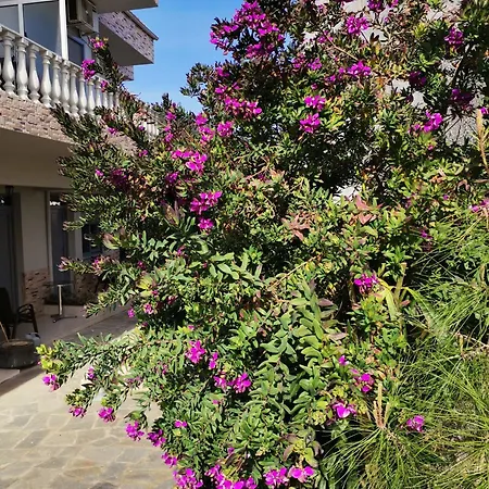 Lia Adults Only -fully Renovated Apartman