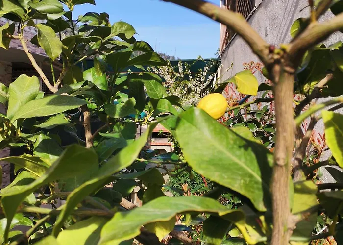 Lia Adults Only -fully Renovated Appartement *